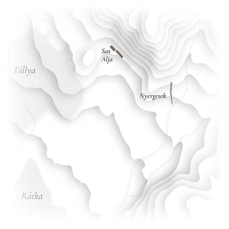 Tállya térkép - Sas alja